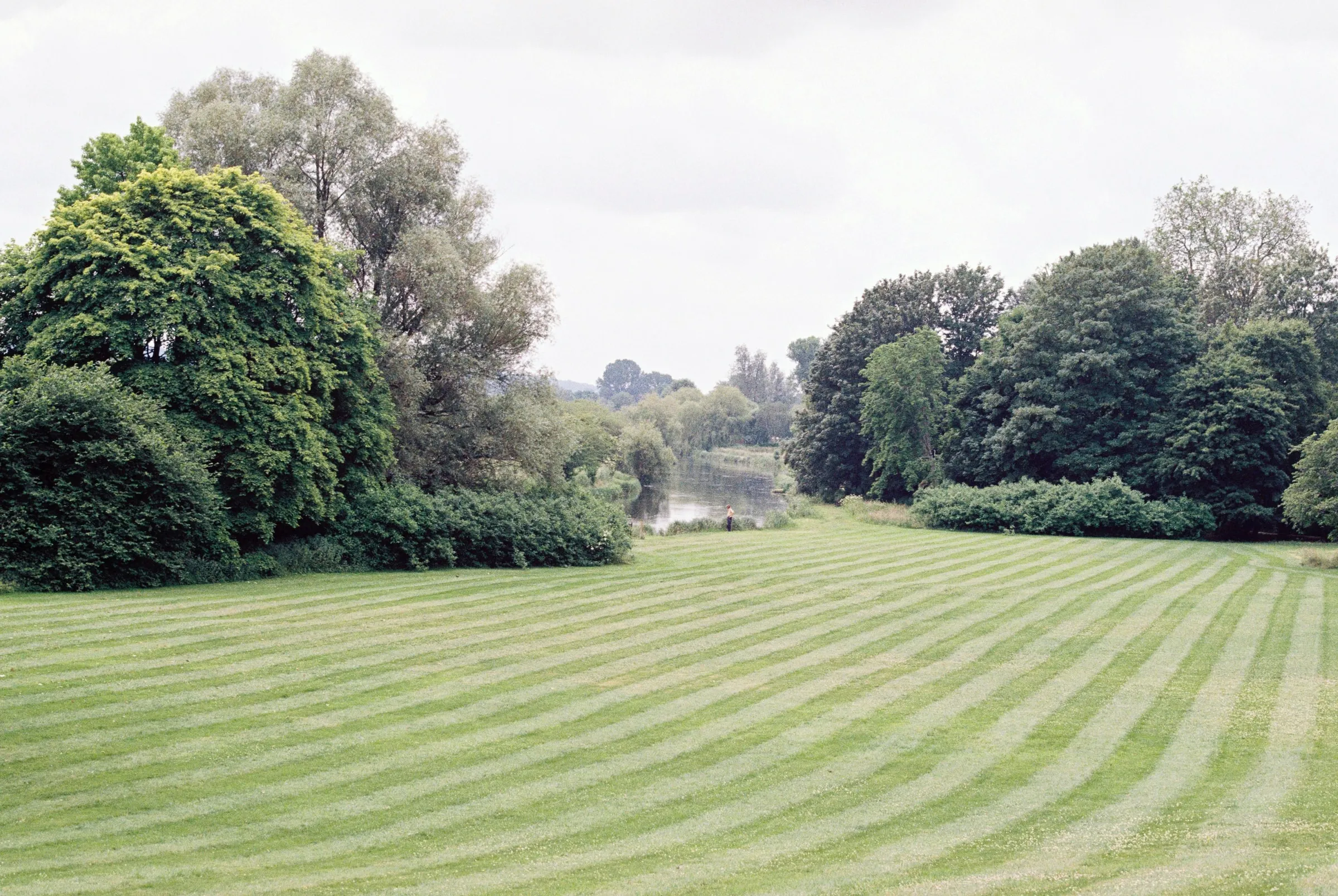 Een park met een gestreept gemaaid gazon en oude bomen