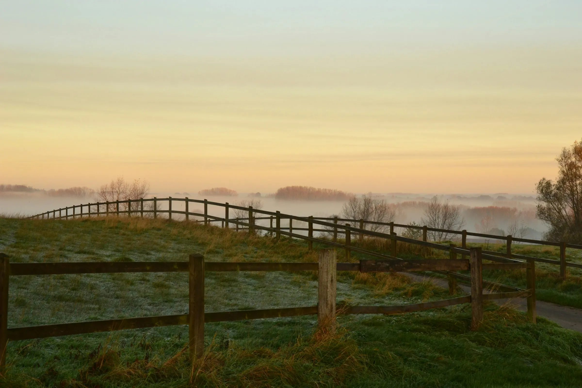 Ochtendmist over de weiden in de Vlaamse Ardennen