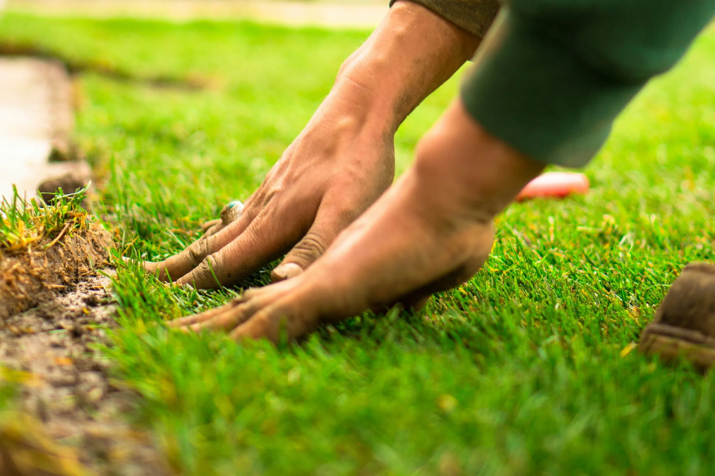 Handen drukken verse graszoden aan